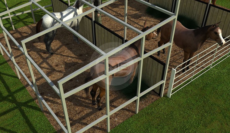 Horse Barn2