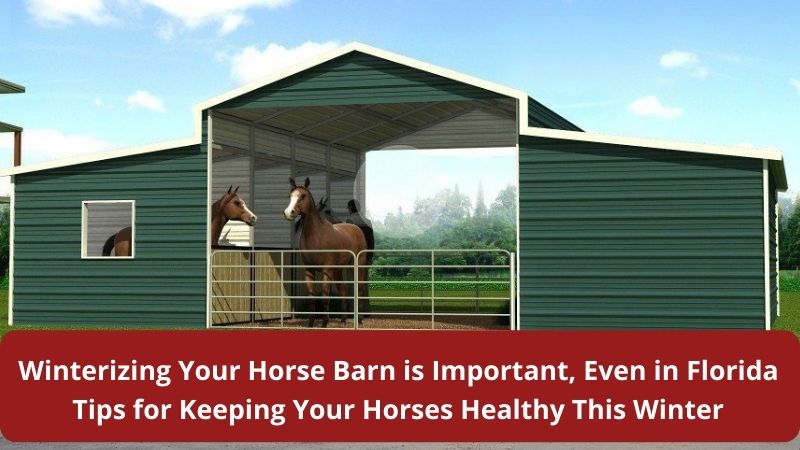Winterizing Your Horse Barn is Important, Even in Florida – Tips for Keeping Your Horses Healthy This Winter