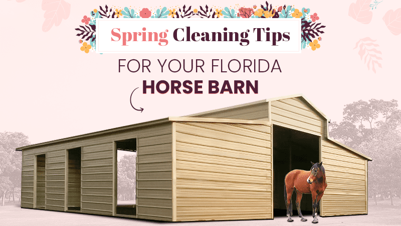 Spring Cleaning Tips for Your Florida Horse Barn