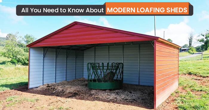 All You Need to Know About Modern Loafing Sheds